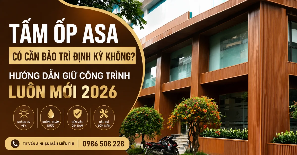 tam-op-asa-co-can-bao-duong