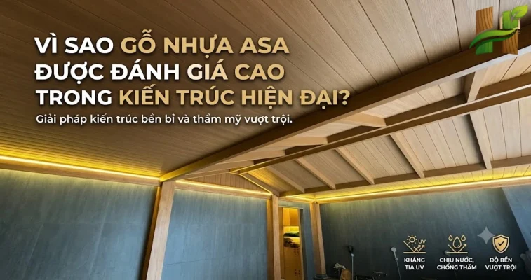 vi-sao-go-nhua-asa-lai-duoc-danh-gia-cao-trng-kien-truc-hien-dai