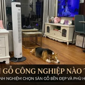san-go-cong-nghiep-loai-nao-tot