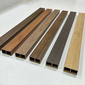 thanh-lam-hop-phu-phim-ecovina